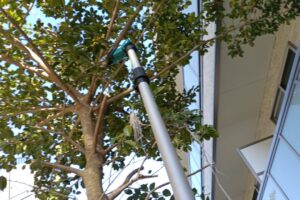 8fc63b3a-94b7-4391-bcc1-771a6697396c-1_all_35465