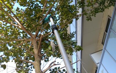 8fc63b3a-94b7-4391-bcc1-771a6697396c-1_all_35465