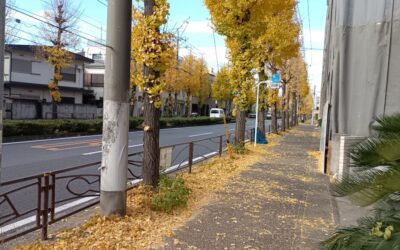 8fc63b3a-94b7-4391-bcc1-771a6697396c-1_all_35545