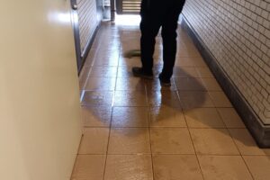 c3a8c52a-8ac0-4a11-805e-eb233b0d503c-1_all_36996